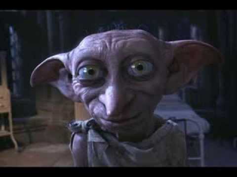 Dobby RIP