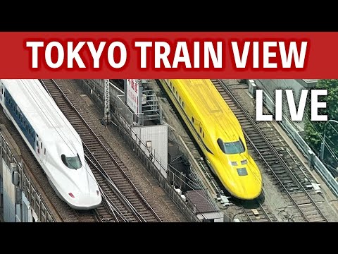 東京駅トレインビュー・新幹線ライブカメラ(有楽町カーブ)