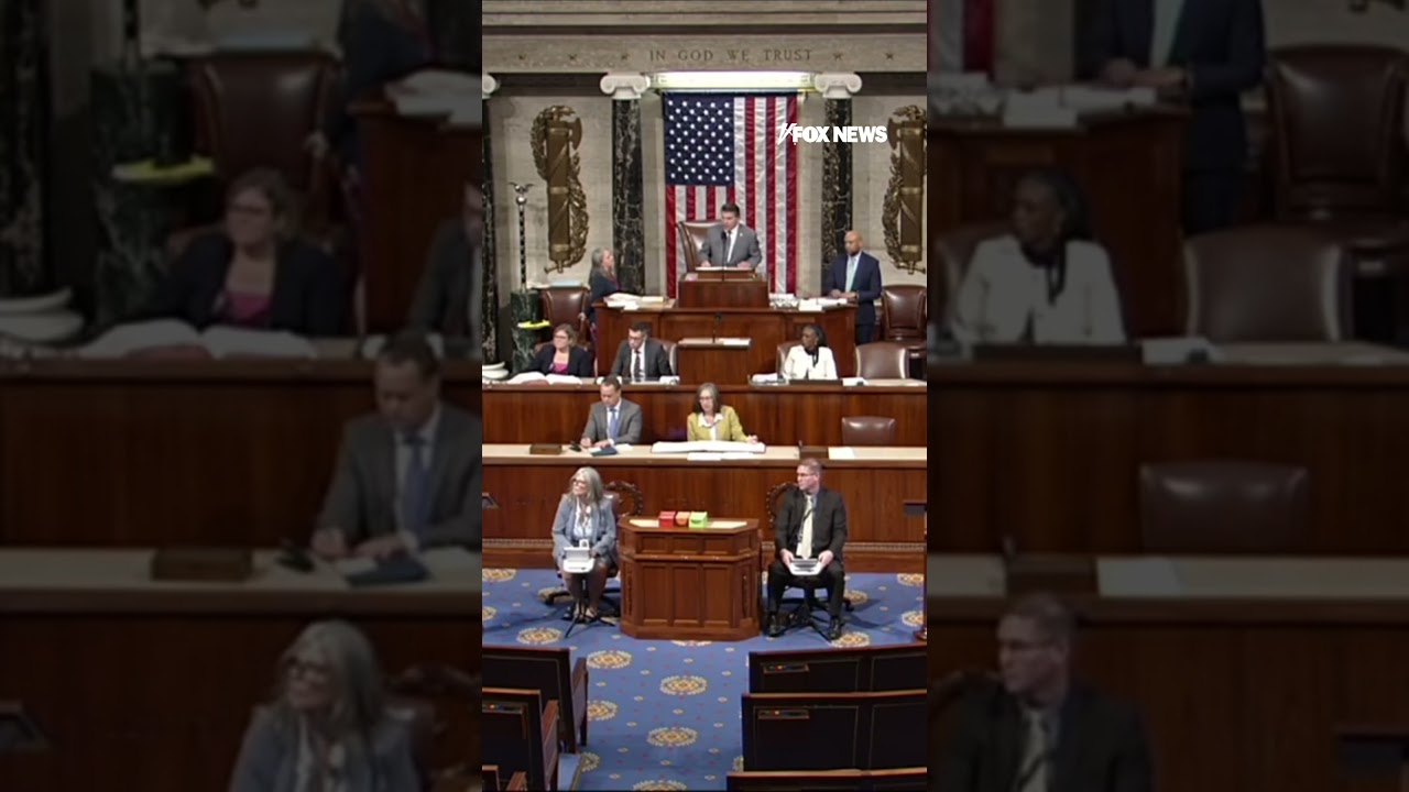 GOP rep accuses Rashida Tlaib of 'advocating for TERRORISTS' #foxnews #news #us #fox
