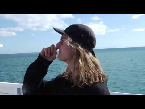 The Great Ocean Road and Beyond