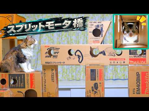 マキタ城のスプリットモータ橋にボス吉が初めて到達しました🏰🐈