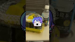 【裏側】V界屈指ののんびり屋さん、大移動遠征がんばったの巻！ #MaiR #密着 #vlog #shorts