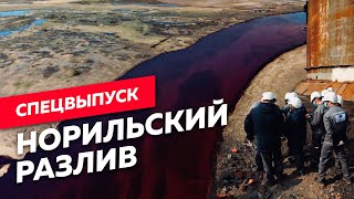 Личное: Кто виноват в экологической катастрофе в Заполярье? / Редакция