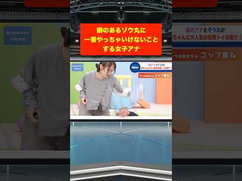 前半にも色々あったようです…#ブリッヒーニュース#知育#shorts