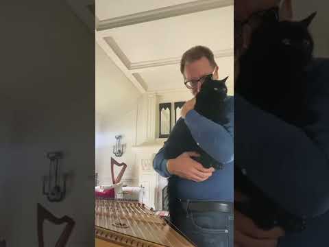 Irish Reels in Metallica Time (feat. GoblinKitty) 2022