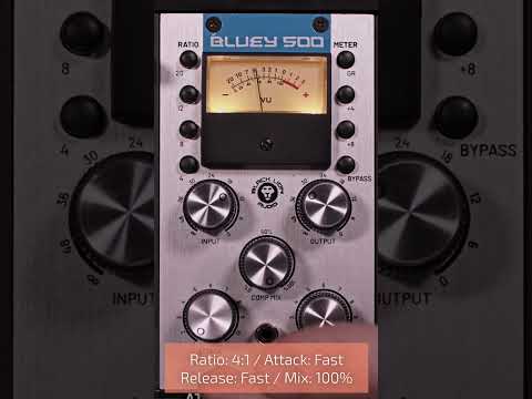 Bluey 500 audio demo: drum bus! #shorts