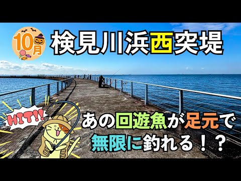 【10月の検見川浜西突堤】無限に釣れる!? 足元サビキであの回遊魚が爆釣!