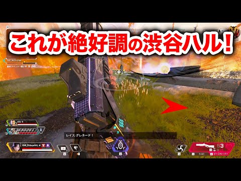 【APEX LEGENDS】これが絶好調の渋谷ハル！【エーペックスレジェンズ】