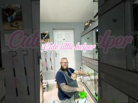 Cute little reptile keeper! 🐍 #reptiles #snake #baby #pets #fyp #babyshorts #foryou #uk #animals