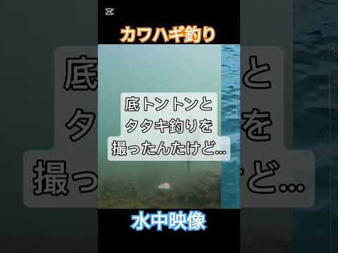 仕掛けがどう動いてるか見たことある？