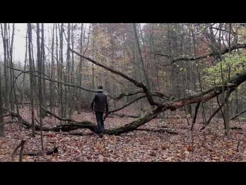 Radioactive - Imagine Dragons: Music Video
