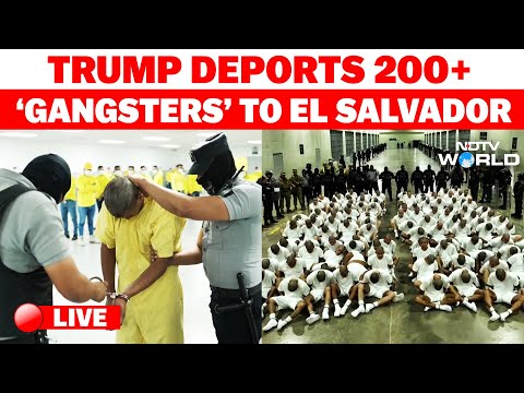 Trump Deportation | Donald Trump News | Trump Deports Hundreds Of Migrants, Despite Judge's Order