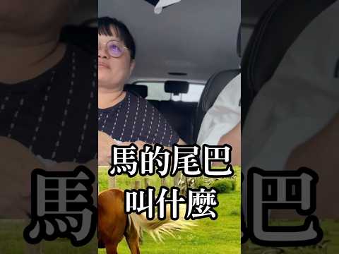 馬的眼睛叫什麼?