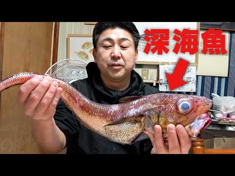 【賛否両論！？】深海の白身魚テナガダラを捌いていくよ