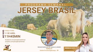 Programa Jersey Brasil - 11/04/2023