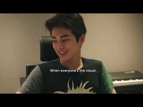 That one kpop group that has everyone on visual position