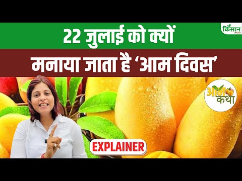 National Mango Day: फलों का राजा आम की अनसुनी कहानी,  CM Mamata से PM Modi तक जानिए रोचक बातें