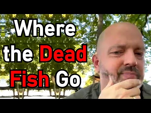 Where The Dead Fish Go - Pastor Patrick Hines Reformed Christian Podcast