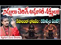 అఘోరీ గురు స్వామీ ఆసక్తికరమైన నిజాలు | Aghori Guru Swamys Shocking Truths | Anchor Pappu