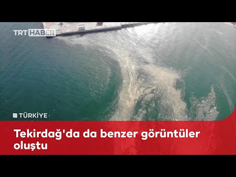 Marmara’da ‘deniz salyası’ istilası