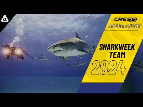Shark Week Team USA 2024 