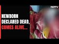 Assam Newborn Declared Dead By Hospital Come Alive Seconds Before Cremation