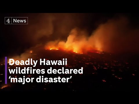 36 dead as wildfires tear through Hawaiian island of Maui