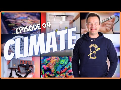 A Successful Saltwater Aquarium Has a Stable Clima Keep your new reef tank SAFE and stable! In today's episode, join up with Matthew as he goes over ev
