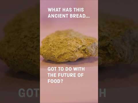 What has this ancient bread got to do with the future of food?
