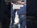 Police remove Greta Thunberg from blocking Swedish parliament  - 00:34 min - News - Video