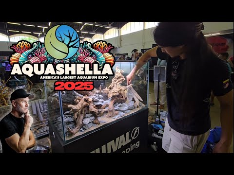 Dallas Aquashella 2025_ Tour The Biggest Fish Nerd Go on a tour with me of the biggest fish and aquarium convention in the world. See Aquashella as I s