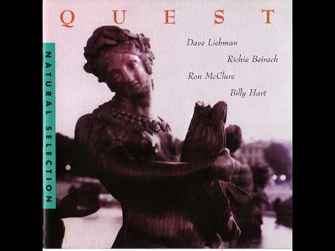 Quest - Nocturnal