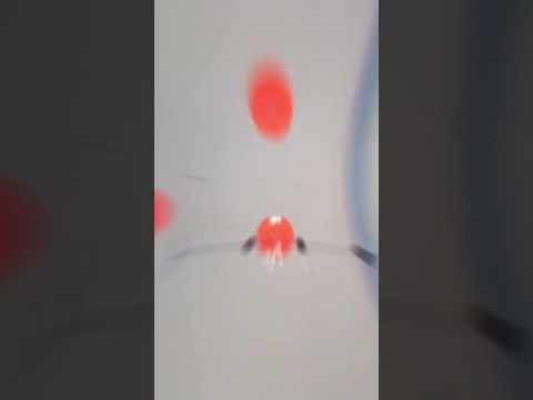 How would you measure this group? #rimfire #shorts