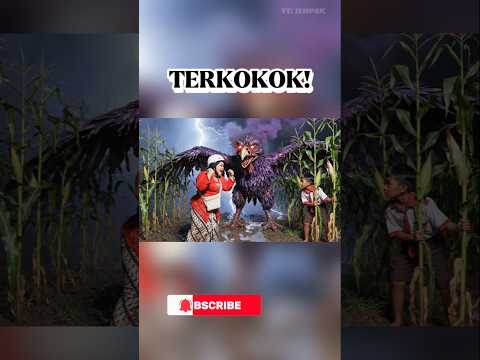 TERKOKOK - Nenek vs Ayam Setan Ungu!