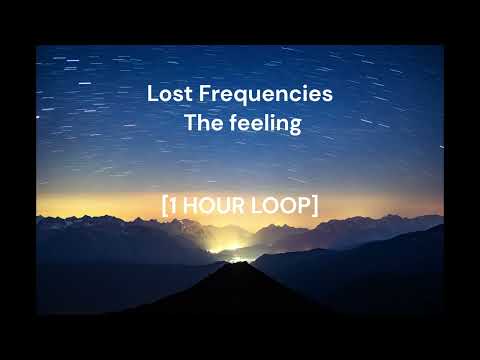 Lost Frequencies - The Feeling [1 HOUR LOOP]