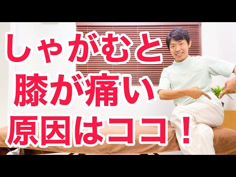 しゃがんだ時の膝の痛みが取り切れない本当の原因と解消する方法 まとめちゅーぶ