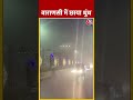 वाराणसी में छाया धुंध | Varanasi Fogg | #shorts #shortsvideo #viralvideo  - 00:56 min - News - Video