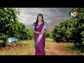 ప్రకృతి విధానంలో కొత్త ఒరవడి శబరి 555 తో చీడపీలకు చెక్ | Matti Manishi | 10TV  - 10:29 min - News - Video