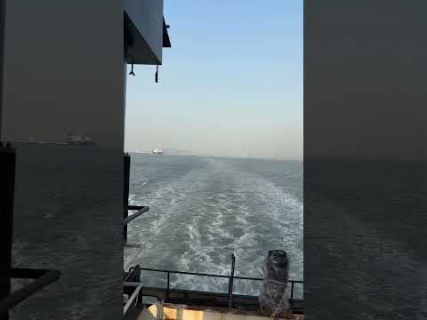 Ja Rajhaan || Do Patti || #shorts #trending #love