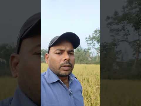 आराम मिलने से लोग आलसी हो जाते हैं।