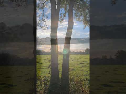 Stillness After the Storm #healing #healingnature