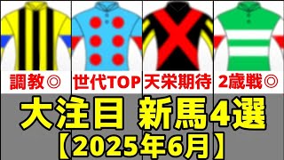 【2025年6月デビュー】注目新馬4選【アンドゥーリル/エコールナヴァール/ムーンリットアイル】