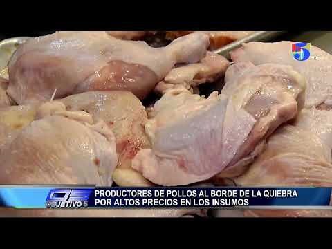 Productores de pollos al borde de la quiebra por altos precios en los insumos | Objetivo 5