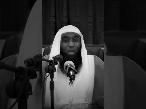 ١٤ تشرين الأول، ٢٠٢٥