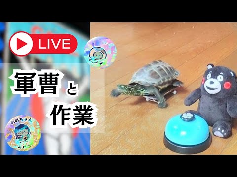 【大阪行くよ】イベント準備最終回!パッキングするよー!