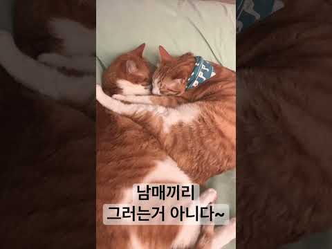 <strong>남매끼리</strong> 그러는거 아니다~~