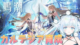 【#鳴潮】カルテジア育成とメインストーリー#30 【初見さん大歓迎/Vtuber】