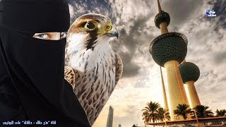 حقائق مذهلة لا تعرفها عن دولة الكويت | عملاق الخليج الصغير ! -