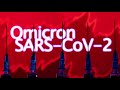Goldman cuts U.S. GDP outlook over Omicron fears  - 01:10 min - News - Video