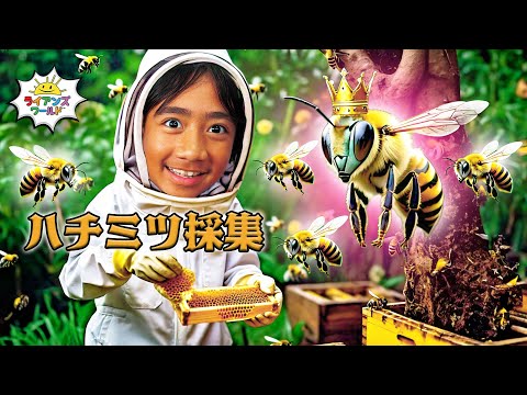 【教育シリーズ】ハチミツはどうやってできるの?🐝驚きの秘密を解説!